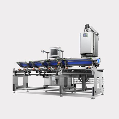 GLM-Ievo 100V Tartım Etiketleme Makinası - 1